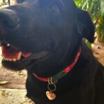 Plaquita corazón acero inoxidable con charm