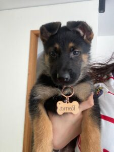 Plaquita Hueso acero inoxidable con charm photo review