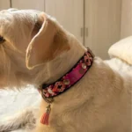 COLLAR ROSA MULTICOLOR