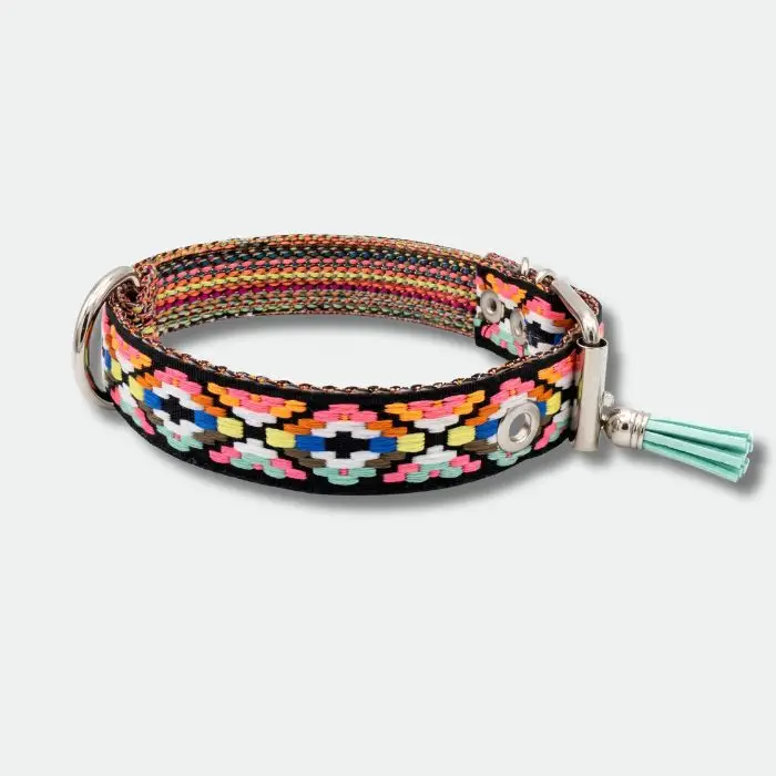 COLLAR PARA PERRO HEBILLA (3) COLLAR PARA PERRO HEBILLA (3)