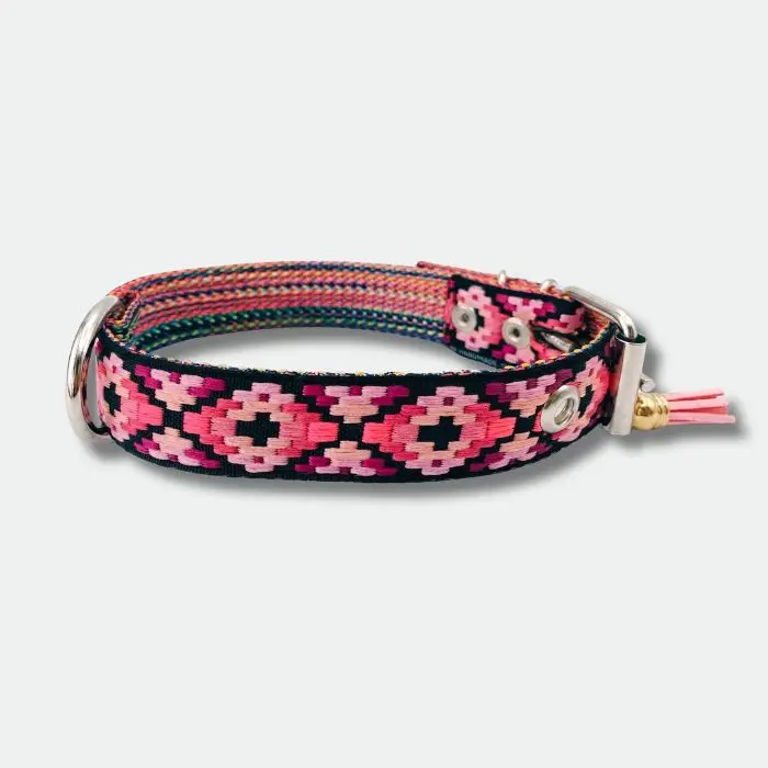 COLLAR PARA PERRO HEBILLA (5) COLLAR PARA PERRO HEBILLA (5)