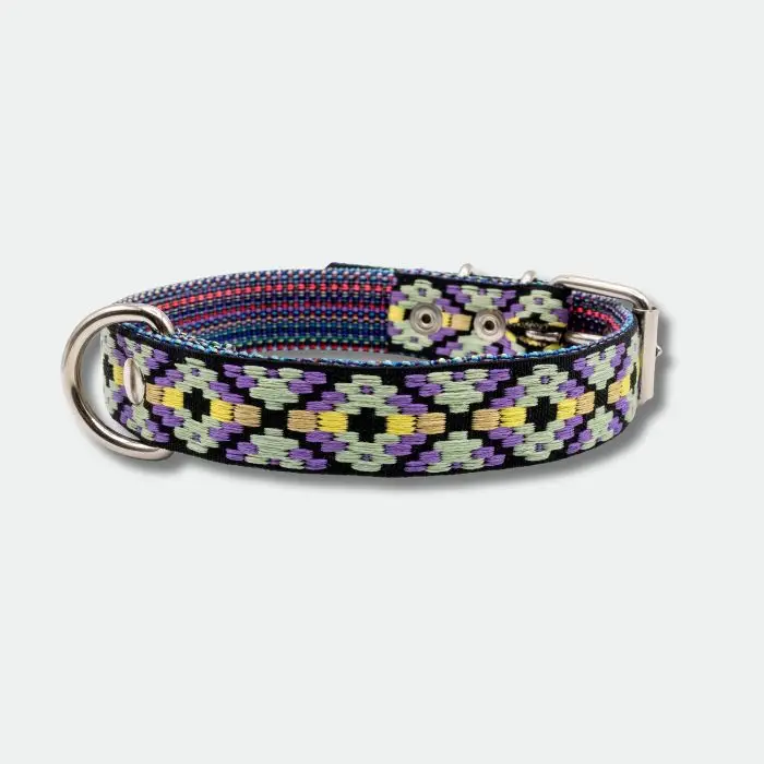 COLLAR PARA PERRO HEBILLA (6) COLLAR PARA PERRO HEBILLA (6)