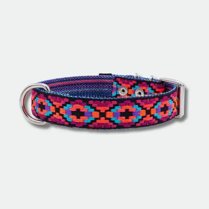 COLLAR PARA PERRO HEBILLA (7) COLLAR PARA PERRO HEBILLA (7)