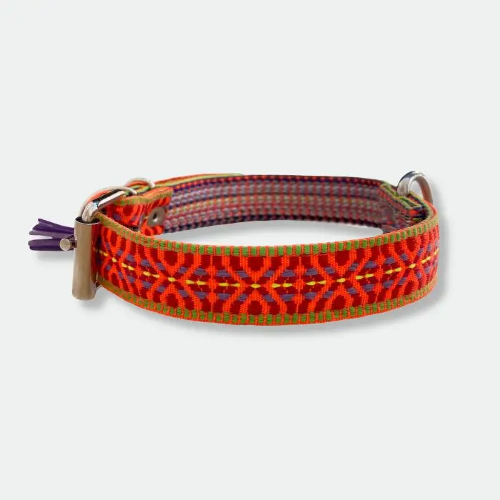 COLLAR PARA PERRO HEBILLA COLLAR PARA PERRO HEBILLA